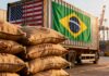 Café brasileiro pode perder espaço nos EUA após novo tarifaço imposto por Trump