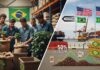 Compras de café brasileiro pelos EUA caem pela metade após tarifaço