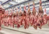 China restringe carne brasileira, Ibovespa cai e ações como BEEF3 sofrem
