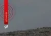 Israel Destrói Oliveiras Palestinas Dias Antes da Colheita, Agricultores Lamentam Perda e Símbolo de Conexão com a Terra